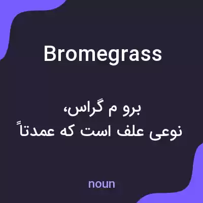 معنی bromegrass به فارسی معنی bromegrass به فارسی
