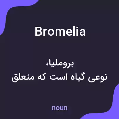 معنی bromelia به فارسی معنی bromelia به فارسی