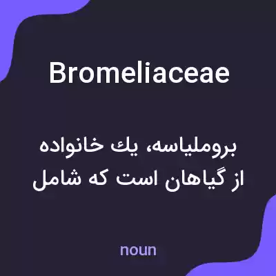 معنی bromeliaceae به فارسی معنی bromeliaceae به فارسی