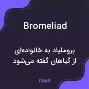 معنی bromeliad به فارسی معنی bromeliad به فارسی