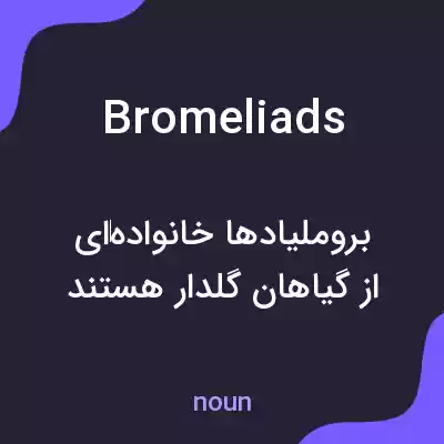 معنی bromeliads به فارسی معنی bromeliads به فارسی