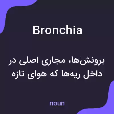 معنی bronchia به فارسی معنی bronchia به فارسی
