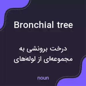 معنی bronchial tree به فارسی معنی bronchial tree به فارسی