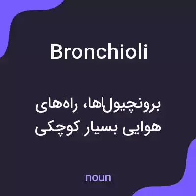 معنی bronchioli به فارسی