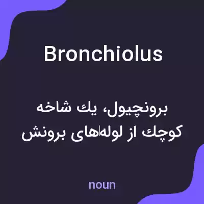 معنی bronchiolus به فارسی معنی bronchiolus به فارسی