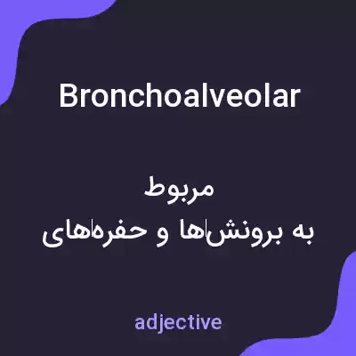 معنی bronchoalveolar به فارسی معنی bronchoalveolar به فارسی
