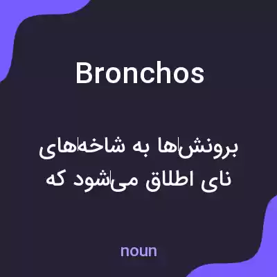 معنی bronchos به فارسی معنی bronchos به فارسی