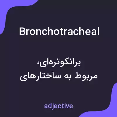 معنی bronchotracheal به فارسی معنی bronchotracheal به فارسی