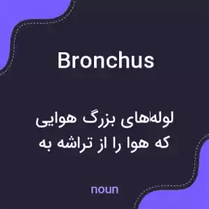 معنی bronchus به فارسی معنی bronchus به فارسی