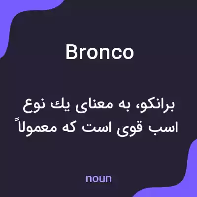معنی bronco به فارسی معنی bronco به فارسی