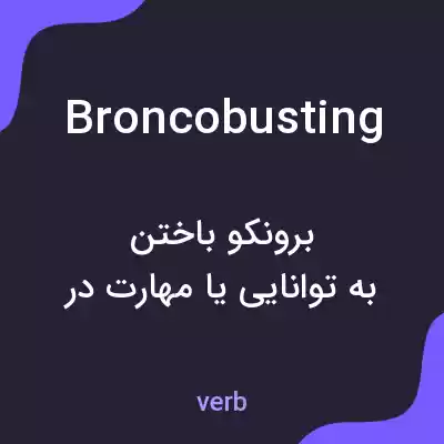معنی broncobusting به فارسی معنی broncobusting به فارسی