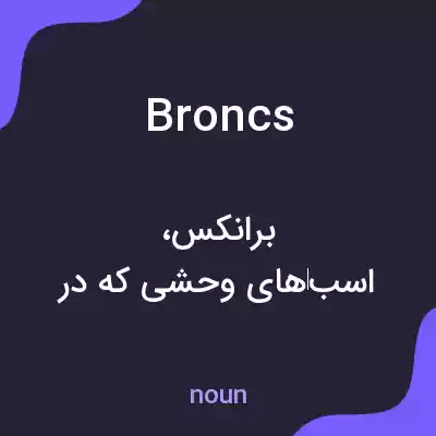 معنی broncs به فارسی معنی broncs به فارسی