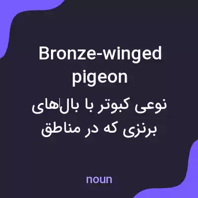 معنی bronze-winged pigeon به فارسی معنی bronze-winged pigeon به فارسی