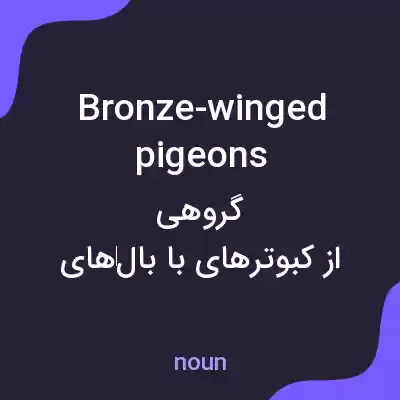 معنی bronze-winged pigeons به فارسی معنی bronze-winged pigeons به فارسی