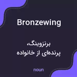 معنی bronzewing به فارسی معنی bronzewing به فارسی