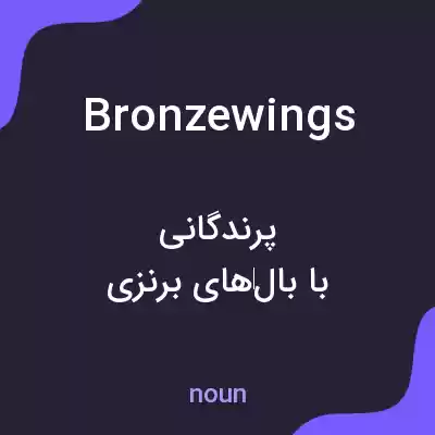معنی bronzewings به فارسی