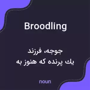معنی broodling به فارسی معنی broodling به فارسی