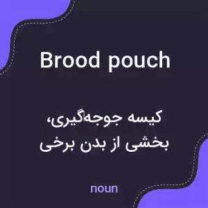 معنی brood pouch به فارسی معنی brood pouch به فارسی