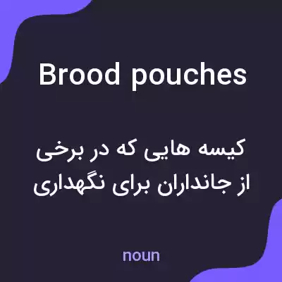 معنی brood pouches به فارسی معنی brood pouches به فارسی
