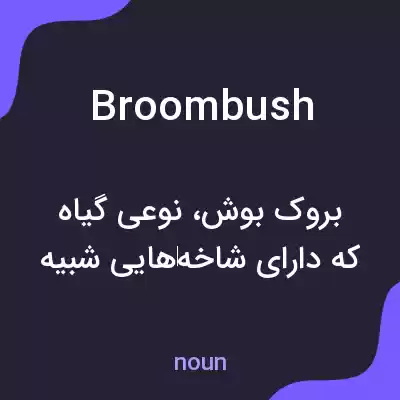 معنی broombush به فارسی معنی broombush به فارسی