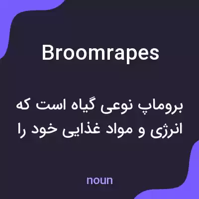 معنی broomrapes به فارسی معنی broomrapes به فارسی