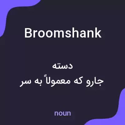 معنی broomshank به فارسی معنی broomshank به فارسی