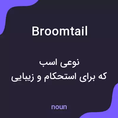 معنی broomtail به فارسی معنی broomtail به فارسی