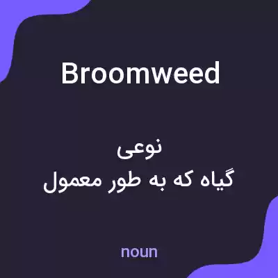 معنی broomweed به فارسی