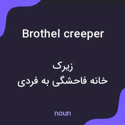 معنی brothel creeper به فارسی معنی brothel creeper به فارسی