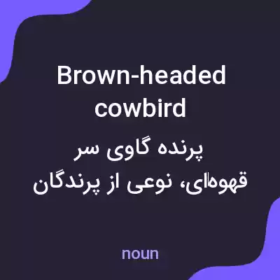 معنی brown-headed cowbird به فارسی