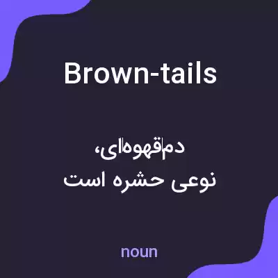 معنی brown-tails به فارسی