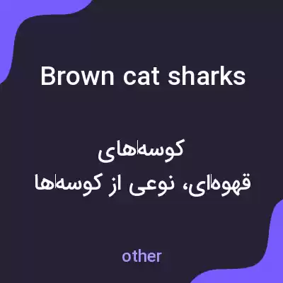 معنی brown cat sharks به فارسی معنی brown cat sharks به فارسی