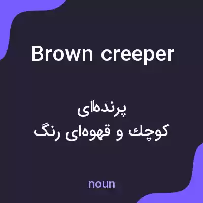 معنی brown creeper به فارسی معنی brown creeper به فارسی