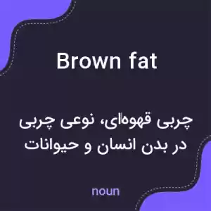 معنی brown fat به فارسی معنی brown fat به فارسی
