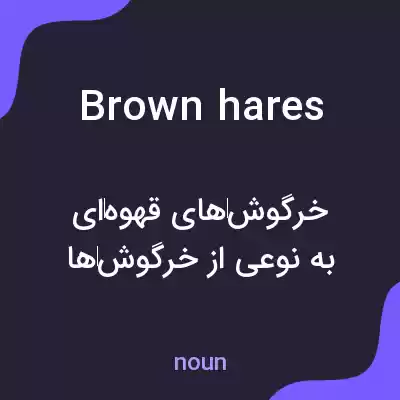 معنی brown hares به فارسی معنی brown hares به فارسی