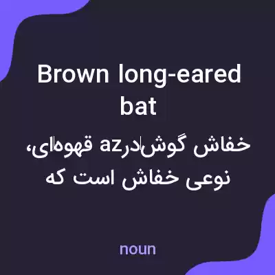 معنی brown long-eared bat به فارسی معنی brown long-eared bat به فارسی