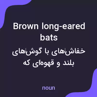 معنی brown long-eared bats به فارسی معنی brown long-eared bats به فارسی