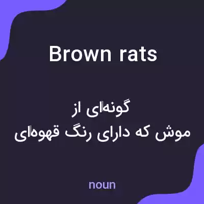 معنی brown rats به فارسی معنی brown rats به فارسی