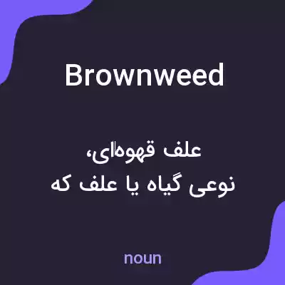 معنی brownweed به فارسی معنی brownweed به فارسی
