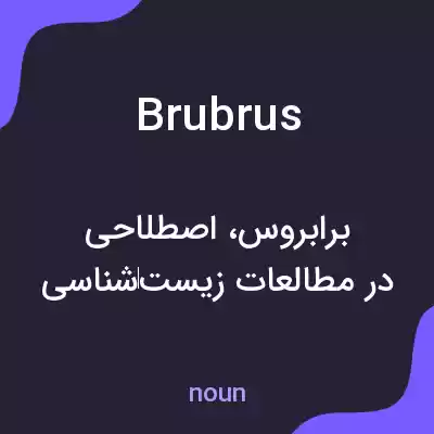 معنی brubrus به فارسی معنی brubrus به فارسی