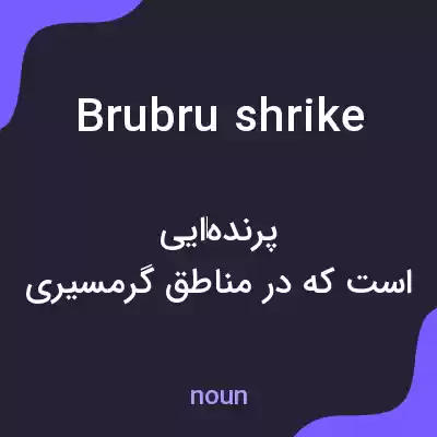 معنی brubru shrike به فارسی معنی brubru shrike به فارسی