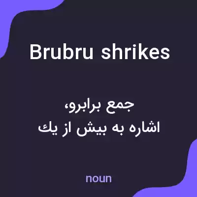 معنی brubru shrikes به فارسی معنی brubru shrikes به فارسی