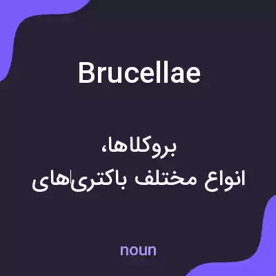 معنی brucellae به فارسی معنی brucellae به فارسی