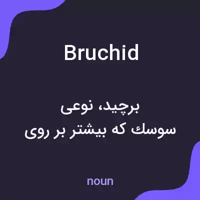 معنی bruchid به فارسی معنی bruchid به فارسی