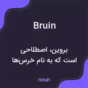 معنی bruin به فارسی معنی bruin به فارسی