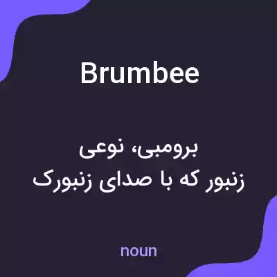 معنی brumbee به فارسی معنی brumbee به فارسی