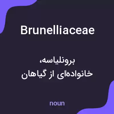 معنی brunelliaceae به فارسی معنی brunelliaceae به فارسی