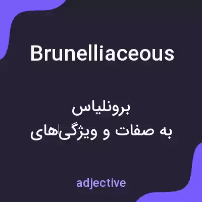 معنی brunelliaceous به فارسی معنی brunelliaceous به فارسی