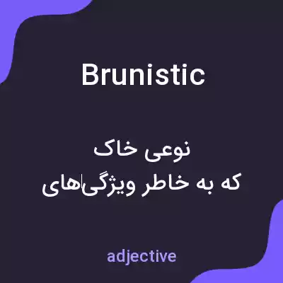 معنی brunistic به فارسی معنی brunistic به فارسی
