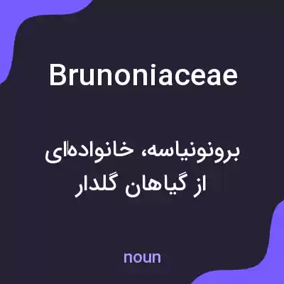 معنی brunoniaceae به فارسی معنی brunoniaceae به فارسی